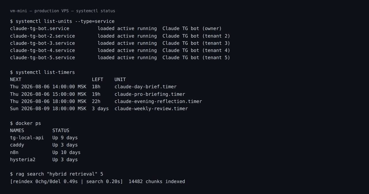 Production VPS: five isolated tenant services, scheduled timers and containers